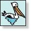 Pelican Pic